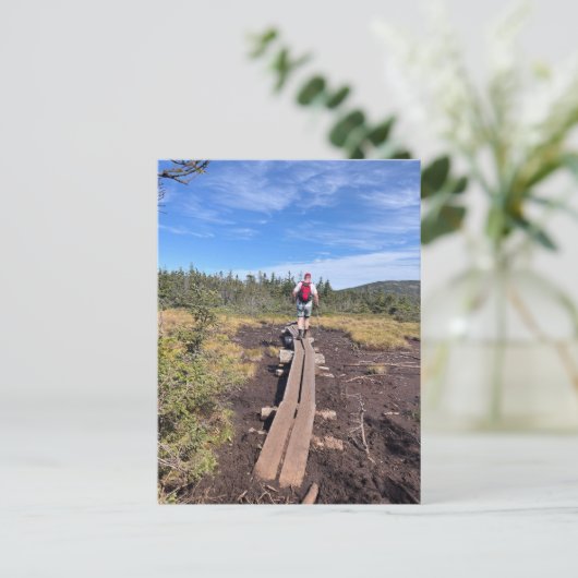 M. Jackson und M. Pierce Bog Bridge Postcard Postkarte (Stehend Vorderseite)