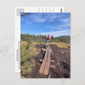 M. Jackson und M. Pierce Bog Bridge Postcard Postkarte (Vorne/Hinten)