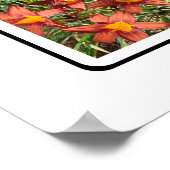 M Monogramm Erstellen Sie Ihre eigene 9 individuel Poster (Ecke)