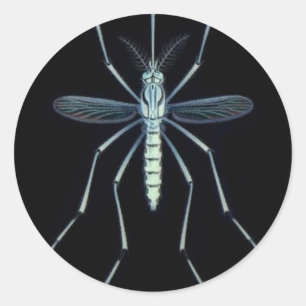 M POWER, RUNDER AUFKLEBER