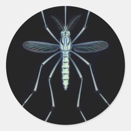 M POWER, RUNDER AUFKLEBER (Vorderseite)