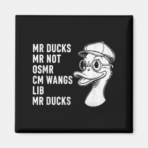M R Enten M R Nicht O S M R Cm Wangs Lib M R Enten Magnet