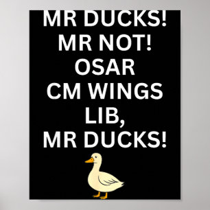 M R Enten M R Nicht O S M R Cm Wangs Lib M R Enten Poster