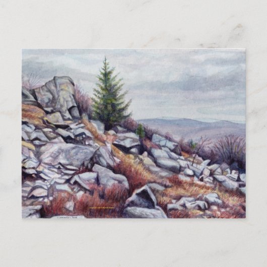 M. Rogers Postcard Postkarte (Vorderseite)