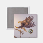 M SWFL Eagle Cam Magnets 2021 Magnet (Vorderseite/Rückseite)