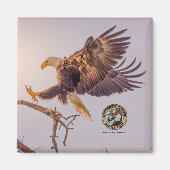 M SWFL Eagle Cam Magnets 2021 Magnet (Vorne)