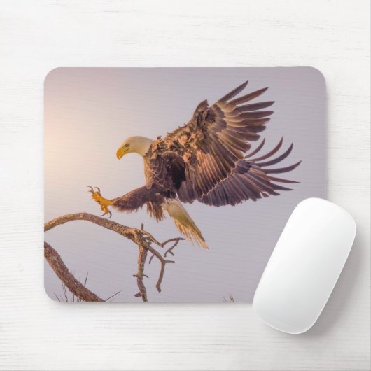 M SWFL Eagle Cam Mouse Pad 2021 Mousepad (Mit Mouse)