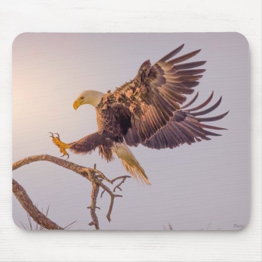 M SWFL Eagle Cam Mouse Pad 2021 Mousepad (Vorne)