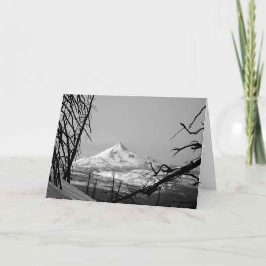 M.Ü. JEFFERSON: Unterschied Karte (Vorderseite)