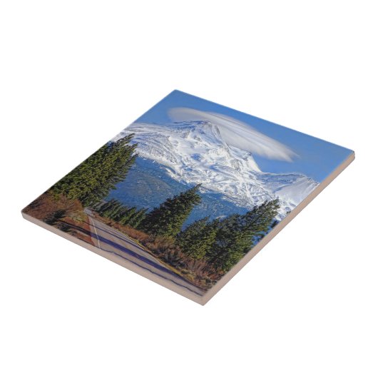 M.Ü. SHASTA MIT LENTIKULAREM FLIESE (Seite)