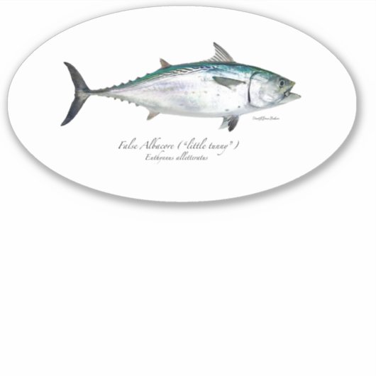 M Vinyl False Albacore Oval Sticker (Vorderseite)