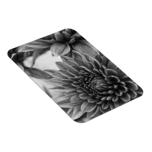 Ma Magnet (Rechte Seite)