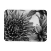 Ma Magnet (Horizontal)