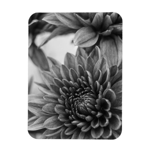 Ma Magnet (Vertikal)