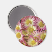 Ma Magnet (Vorderseite/Rückseite)