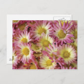 Ma Postkarte (Vorne/Hinten)