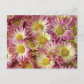 Ma Postkarte (Vorderseite)