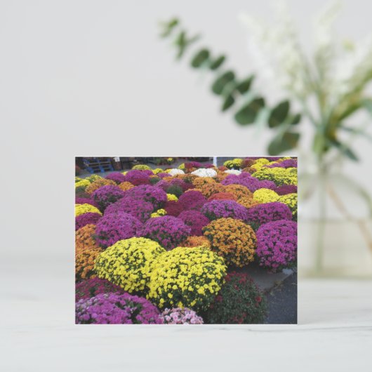 Ma Postkarte (Stehend Vorderseite)