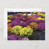 Ma Postkarte (Vorne/Hinten)