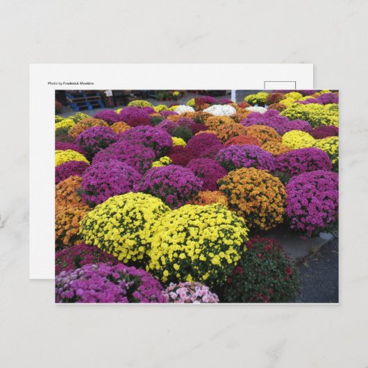 Ma Postkarte (Vorne/Hinten)