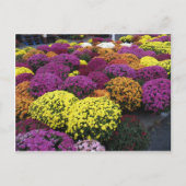 Ma Postkarte (Vorderseite)