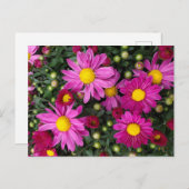 Ma Postkarte (Vorne/Hinten)