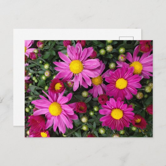 Ma Postkarte (Vorne/Hinten)