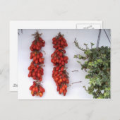 Maaking Sun TrockenTomaten Postkarte (Vorne/Hinten)