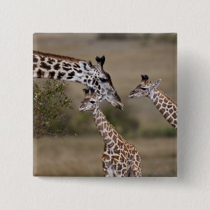 Maasai Giraffe (Giraffe Tippelskirchi) Button