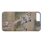 Maasai Giraffe (Giraffe Tippelskirchi) Case-Mate iPhone Hülle (Rückseite (Horizontal))