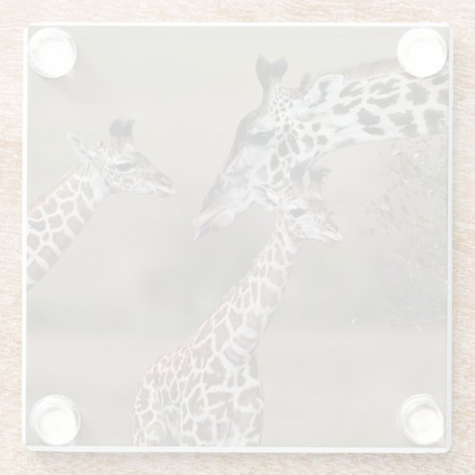 Maasai Giraffe (Giraffe Tippelskirchi) Glasuntersetzer (Rückseite)