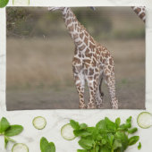Maasai Giraffe (Giraffe Tippelskirchi) Handtuch (Gefaltet)