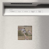 Maasai Giraffe (Giraffe Tippelskirchi) Magnet (In Situ (Geschirrspüler))