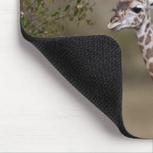 Maasai Giraffe (Giraffe Tippelskirchi) Mousepad (Ecke)