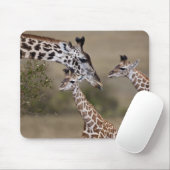 Maasai Giraffe (Giraffe Tippelskirchi) Mousepad (Mit Mouse)