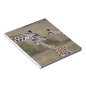 Maasai Giraffe (Giraffe Tippelskirchi) Notizblock (angewinkelt)