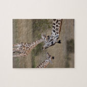 Maasai Giraffe (Giraffe Tippelskirchi) Puzzle (Horizontal)