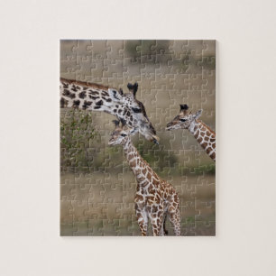 Maasai Giraffe (Giraffe Tippelskirchi) Puzzle