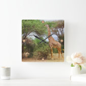 Maasai Giraffe Quadratische Wanduhr (Zuhause)