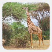 Maasai Giraffe Sticker (Vorderseite)
