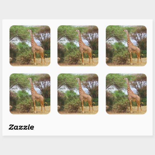 Maasai Giraffe Sticker (Blatt)