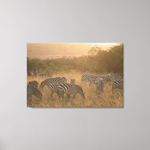 Maasai Morning Zebras Wrapped Canvas Print Leinwanddruck