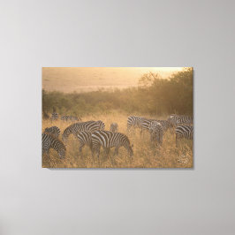 Maasai Morning Zebras Wrapped Canvas Print Leinwanddruck