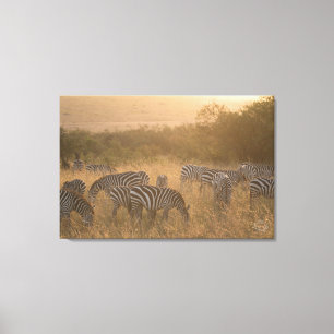 Maasai Morning Zebras Wrapped Canvas Print Leinwanddruck
