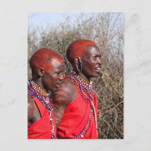 Maasai Warrior-3 Postkarte (Vorderseite)