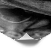 Maasai Warrior Poster (Ecke)