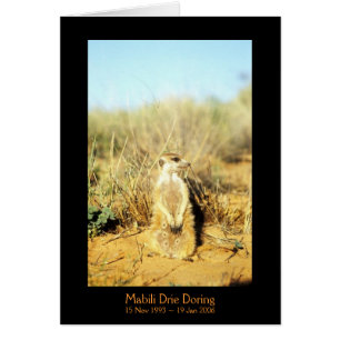 Mabili - Legenden-Karte