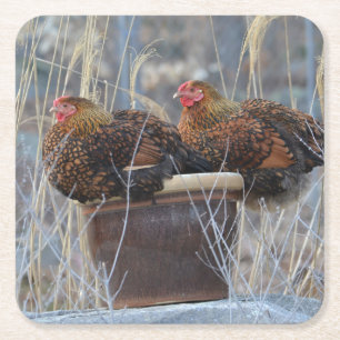 Mable and Harriet Chicken Party Untersetzer