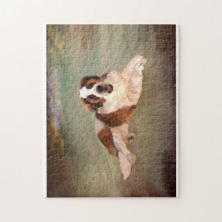 Mac the St. Bernard Puzzle