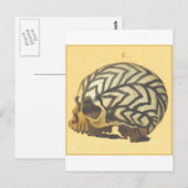 Macabre: Skull - Neue Guinea Postkarte (Vorne/Hinten)